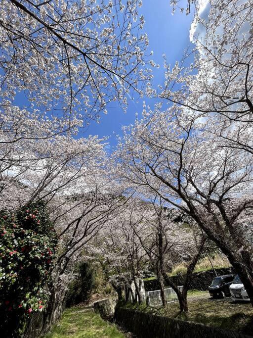 御浜岬の至福を一身に味わう 一軒家貸切宿で贅沢なバーベキューを楽しみながら夕陽に染まる戸田湾の美しさを満喫 Нумадзу Екстер'єр фото